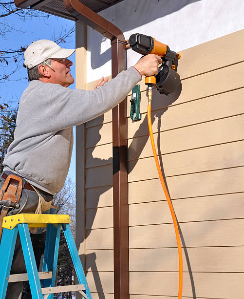 Best Brick Veneer Siding  in Capac, MI